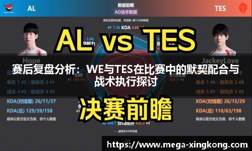 赛后复盘分析：WE与TES在比赛中的默契配合与战术执行探讨