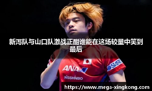 新泻队与山口队激战正酣谁能在这场较量中笑到最后